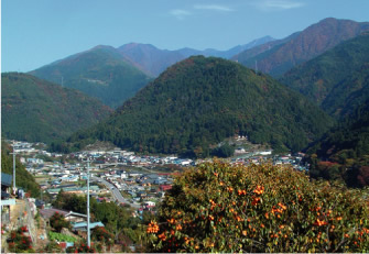 towa