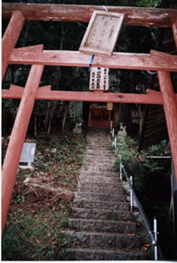 稲荷・和田宿コース